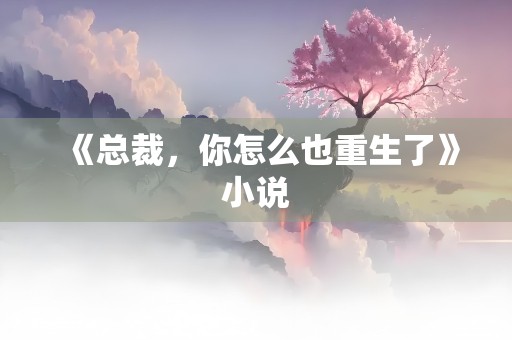 《总裁，你怎么也重生了》小说