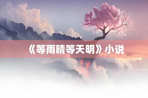 《等雨晴等天明》小说