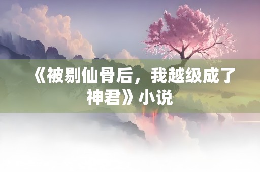 《被剔仙骨后，我越级成了神君》小说