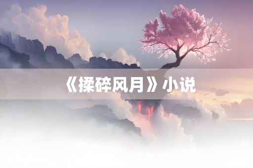 《揉碎风月》小说