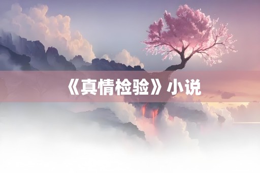 《真情检验》小说