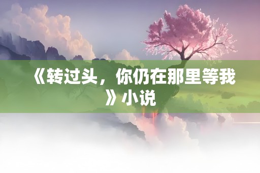 《转过头，你仍在那里等我》小说