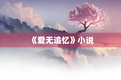 《爱无追忆》小说