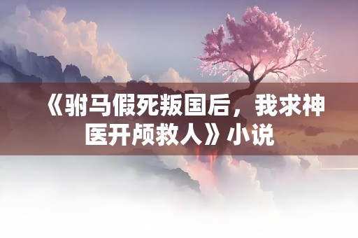 《驸马假死叛国后，我求神医开颅救人》小说