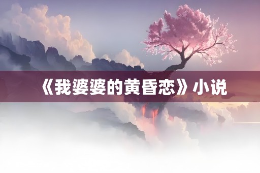 《我婆婆的黄昏恋》小说