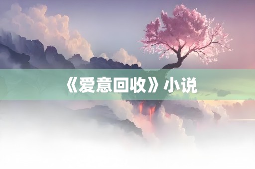 《爱意回收》小说