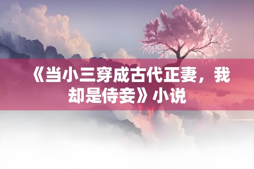 《当小三穿成古代正妻，我却是侍妾》小说