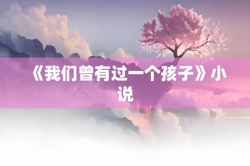 《我们曾有过一个孩子》小说