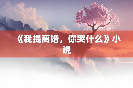 《我提离婚，你哭什么》小说