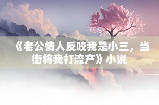 《老公情人反咬我是小三，当街将我打流产》小说