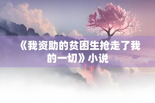 《我资助的贫困生抢走了我的一切》小说