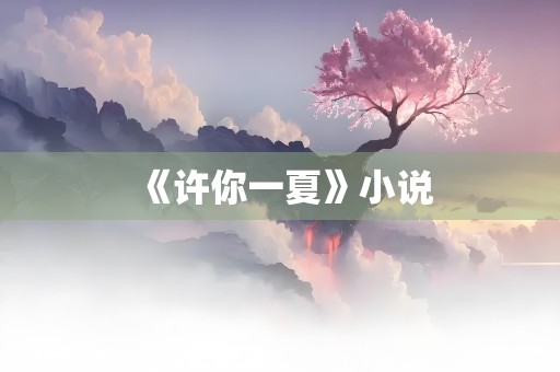 《许你一夏》小说