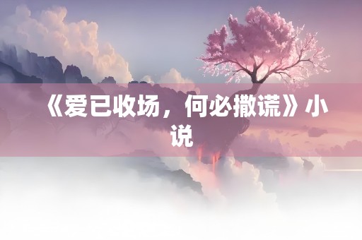 《爱已收场，何必撒谎》小说