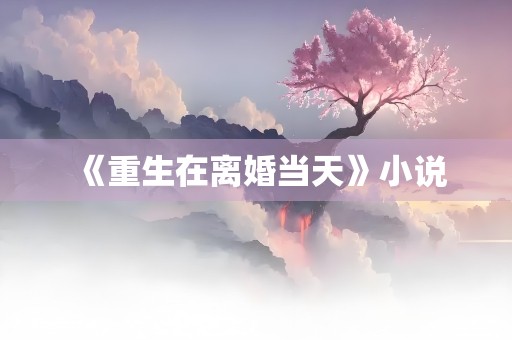 《重生在离婚当天》小说