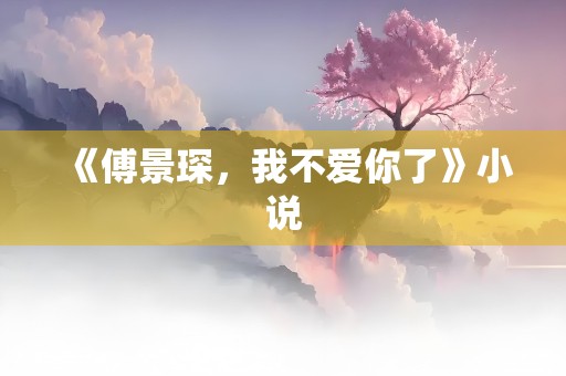 《傅景琛，我不爱你了》小说