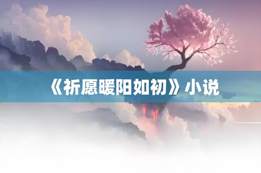 《祈愿暖阳如初》小说