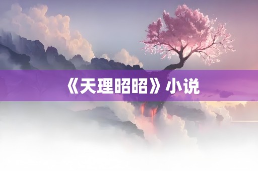 《天理昭昭》小说