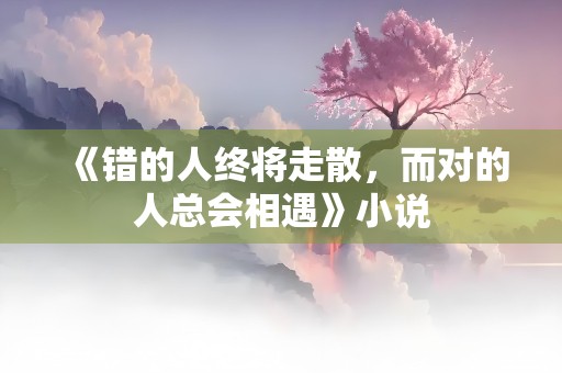 《错的人终将走散，而对的人总会相遇》小说