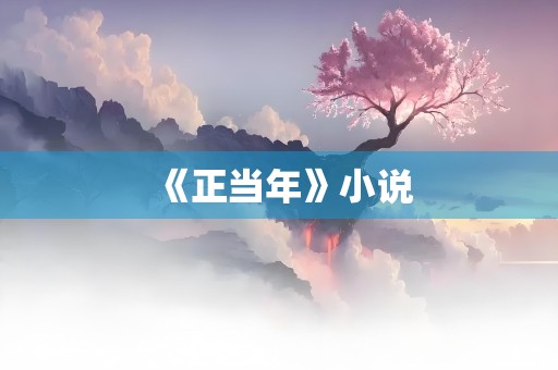 《正当年》小说