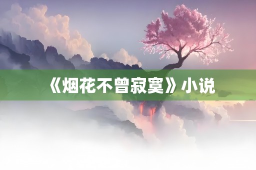 《烟花不曾寂寞》小说