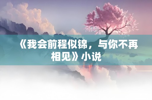 《我会前程似锦，与你不再相见》小说