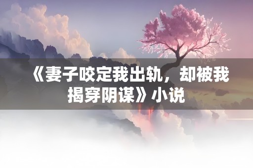 《妻子咬定我出轨，却被我揭穿阴谋》小说