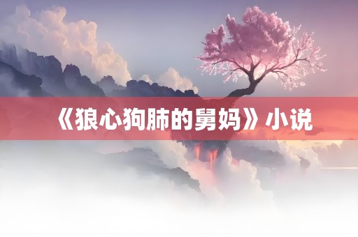 《狼心狗肺的舅妈》小说