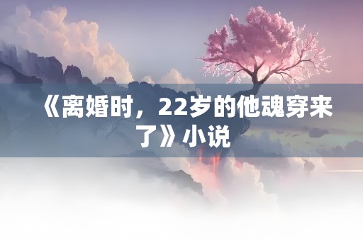 《离婚时，22岁的他魂穿来了》小说