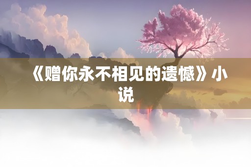 《赠你永不相见的遗憾》小说