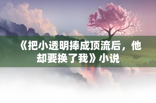 《把小透明捧成顶流后，他却要换了我》小说