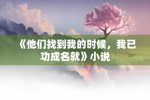 《他们找到我的时候，我已功成名就》小说