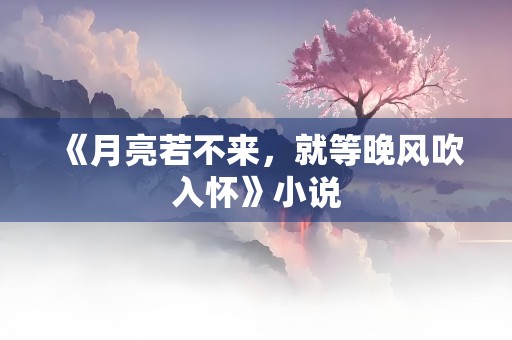 《月亮若不来，就等晚风吹入怀》小说