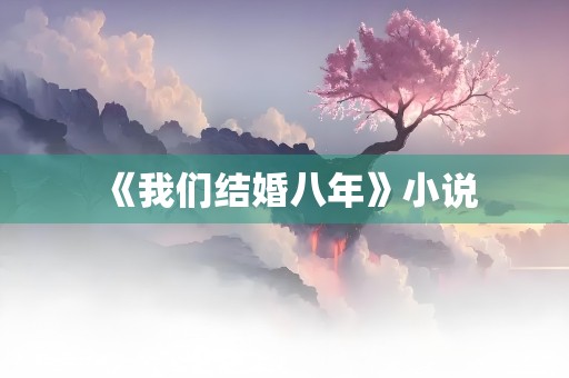 《我们结婚八年》小说