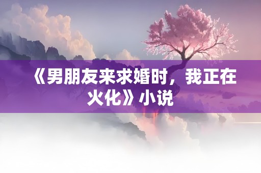 《男朋友来求婚时，我正在火化》小说