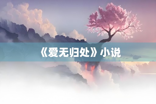 《爱无归处》小说