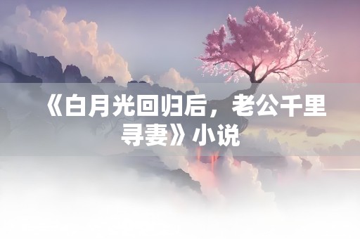 《白月光回归后，老公千里寻妻》小说