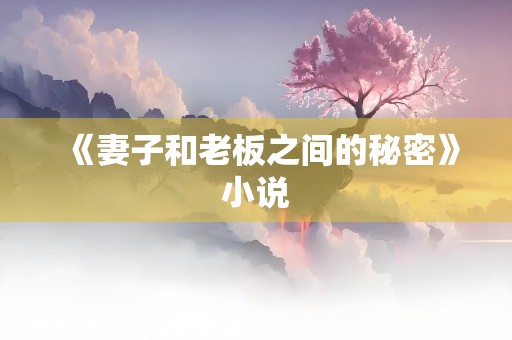 《妻子和老板之间的秘密》小说