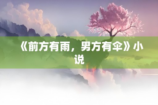 《前方有雨，男方有伞》小说