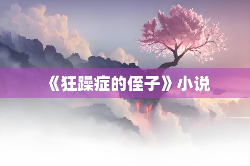 《狂躁症的侄子》小说