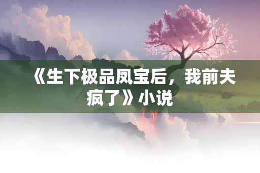 《生下极品凤宝后，我前夫疯了》小说