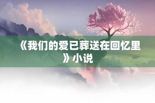 《我们的爱已葬送在回忆里》小说