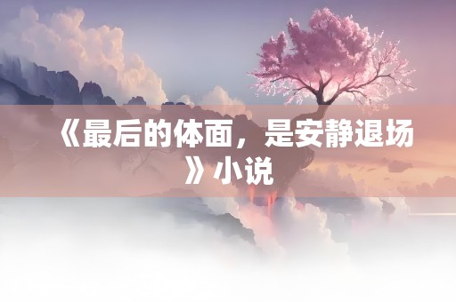 《最后的体面，是安静退场》小说