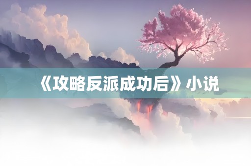 《攻略反派成功后》小说