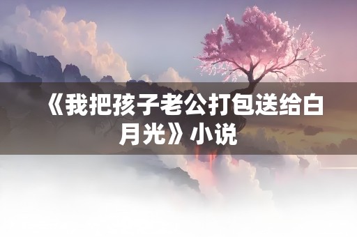 《我把孩子老公打包送给白月光》小说