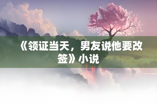 《领证当天，男友说他要改签》小说