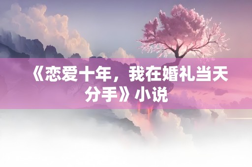 《恋爱十年，我在婚礼当天分手》小说