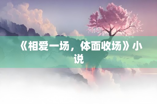 《相爱一场，体面收场》小说