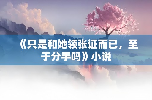 《只是和她领张证而已，至于分手吗》小说