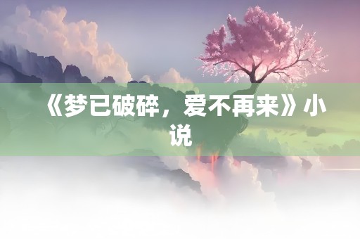 《梦已破碎，爱不再来》小说