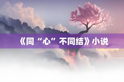 《同“心”不同结》小说